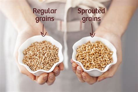 sprouted grains vs non.